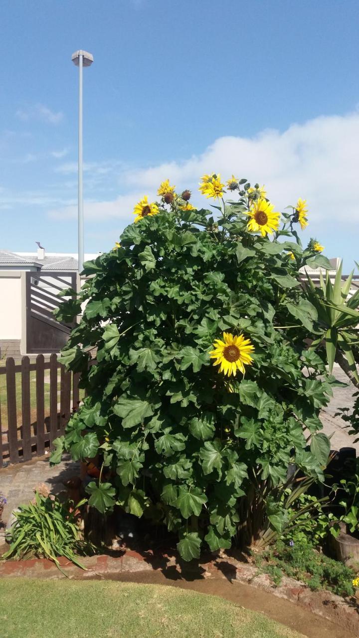 Sunflower Self-Catering Walvis Bay Esterno foto