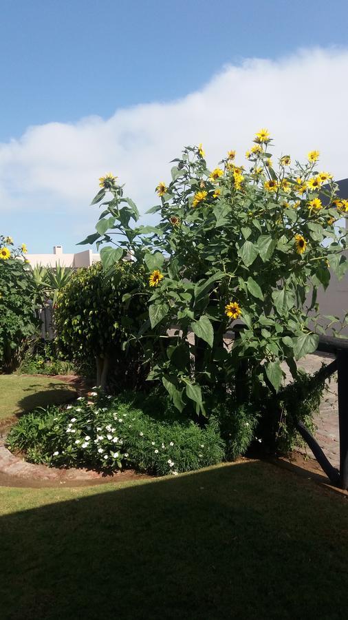 Sunflower Self-Catering Walvis Bay Esterno foto